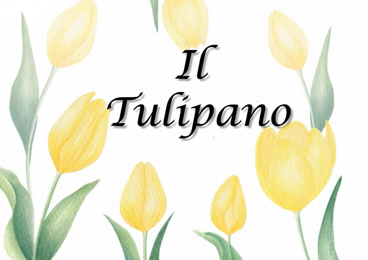 Il Tulipano Apartment Trezzano Rosa Екстериор снимка
